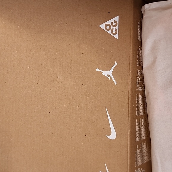 Nike Pegasus 40 (Clemson) - Picture 8 of 14